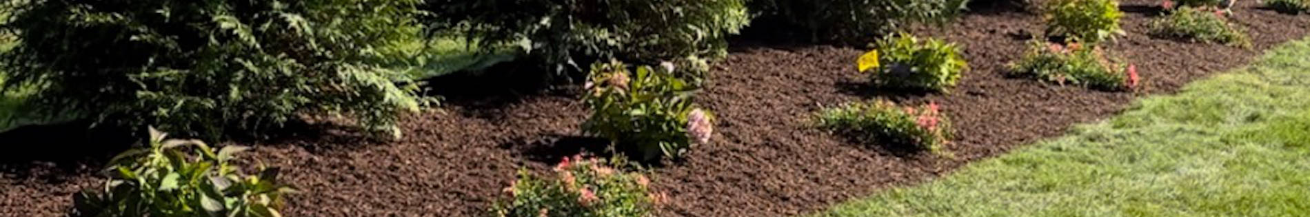 Plant Bed Maintenance